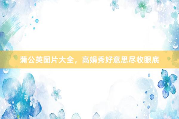 蒲公英图片大全,高娟秀好意思尽收眼底