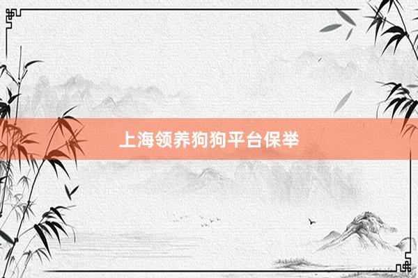 上海领养狗狗平台保举